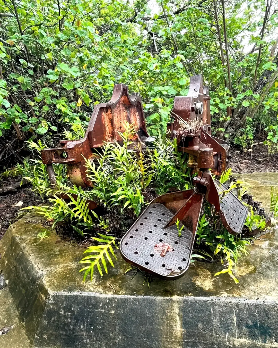 WW2 site in Bora Bora