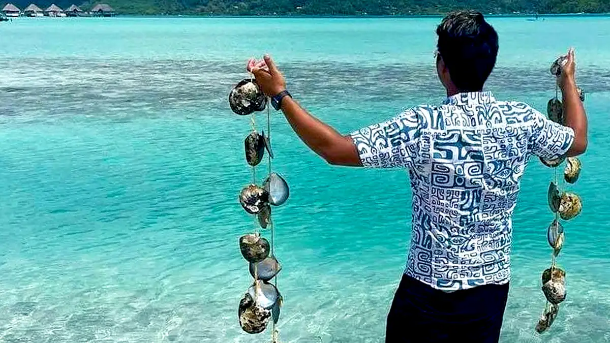 Local in Bora Bora holding two strings of black pearl shells