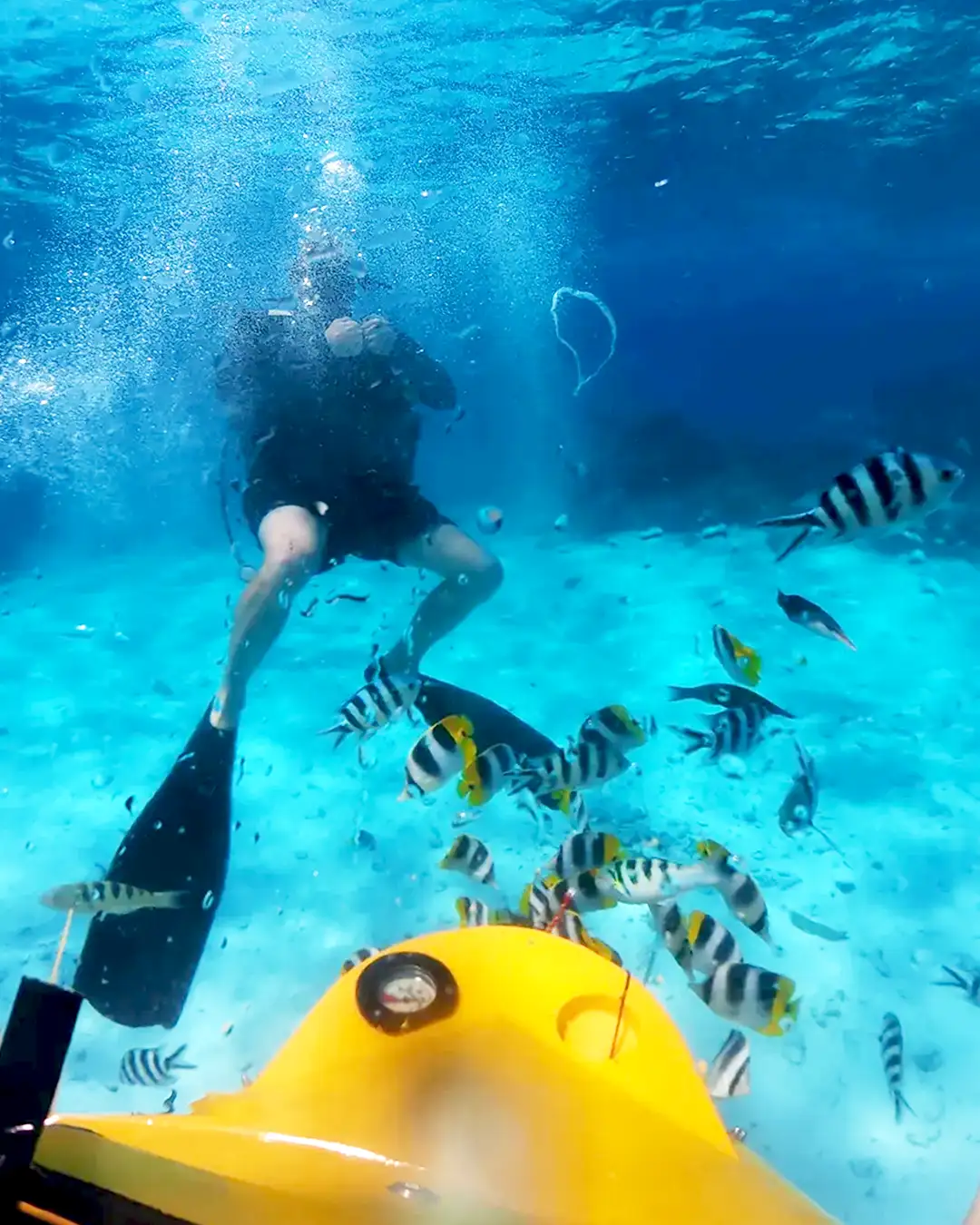 Diver in front of Bora Bora Underwater Scooter
