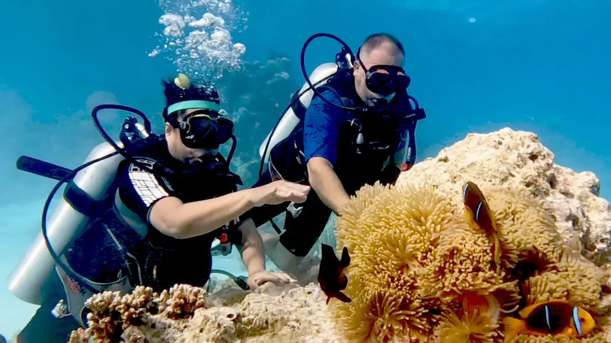 Private romantic dive in Bora Bora French Polynesia
