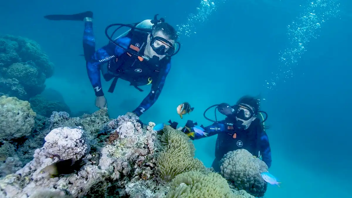 Beginner couple on a romantic dive in Bora Bora