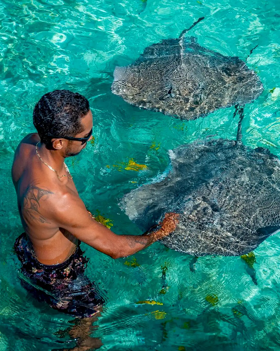 Tour guide snorkeling tour Bora Bora with eagle rays